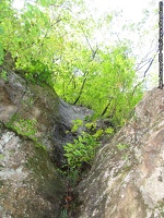 japanjourney2006 0996